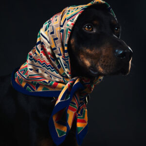 a-black-and-tan-dog-in-a-colourful-head-scarf-with-amber-eyes Κασκόλ Μαύρο 002