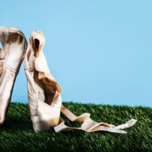 ballet-slippers-on-point-in-grass Παντόφλες 005