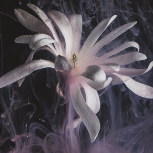 candyfloss-wreaths-ring-a-white-flower Δαχτυλίδι Λευκό