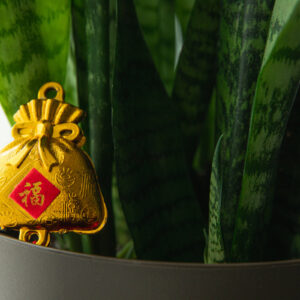 decorative-gold-bag-wishing-you-good-luck Τσάντα Χρυσό 002