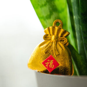 good-luck-symbol-on-gold-bag Τσάντα Χρυσό