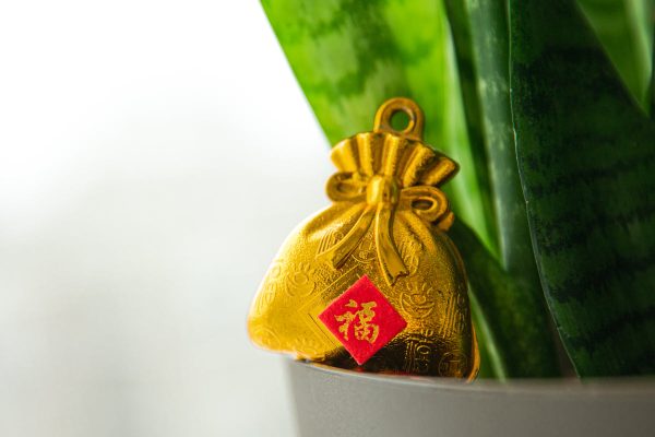 good-luck-symbol-on-gold-bag Τσάντα Χρυσό