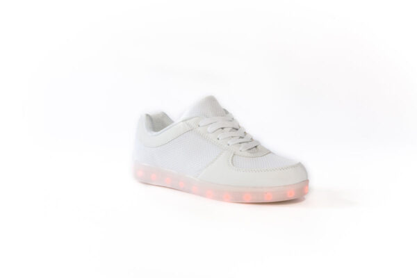 Sneakers 003