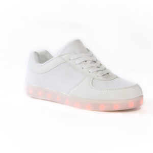 Sneakers 004