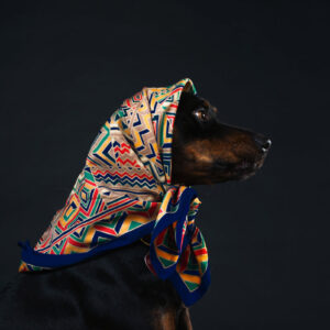 profile-of-a-black-and-tan-dog-in-a-patterned-scarf Κασκόλ Μαύρο 003