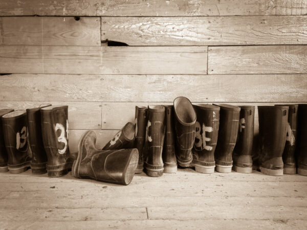 row-of-rubber-boots Μπότες 003