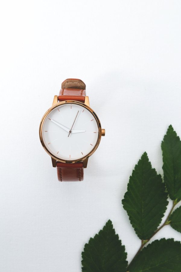 watch-with-leather-strap-near-leaves Ρολόι 013