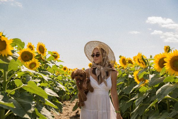 woman-in-a-white-dress-holds-a-puppy-in-sunflower-field Φόρεμα Λευκό 015