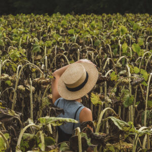 woman-in-hat-standing-in-sunflower-field Καπέλο 014